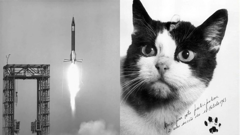 First cat in space