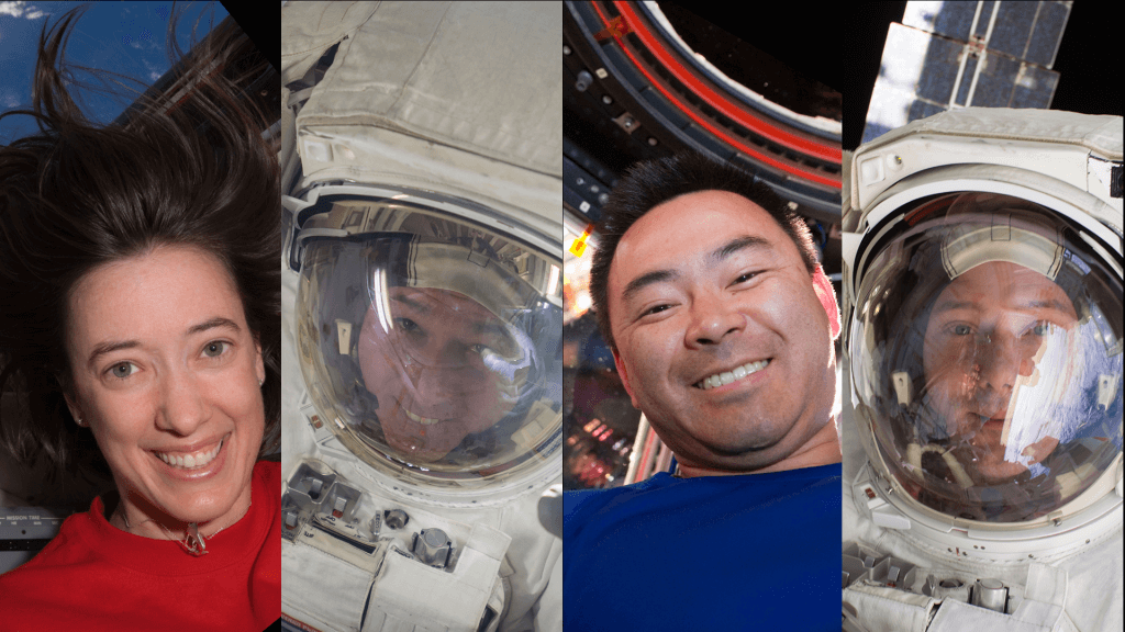 Endeavour Spacecraft Ready to Soar Again!