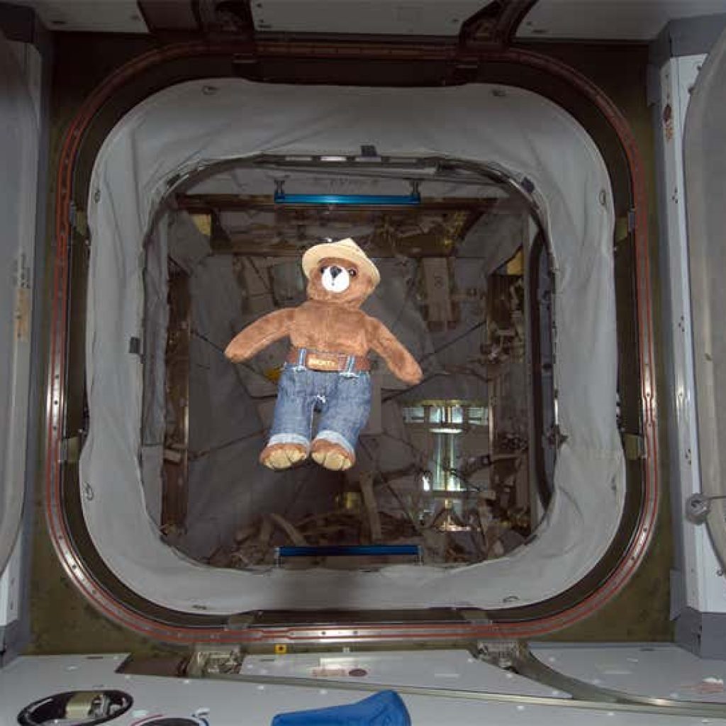 Toys in Space:  Zero-G Indicators and More